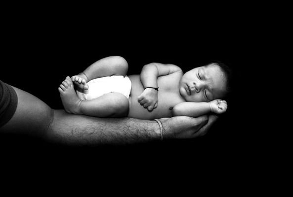 qode interactive strata