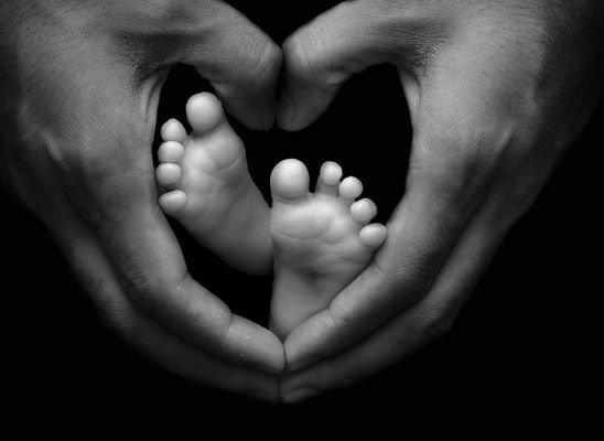 qode interactive strata