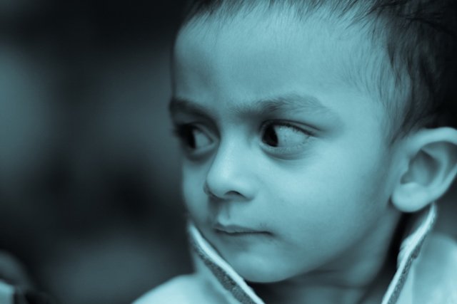 qode interactive strata