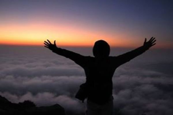 qode interactive strata